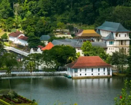 Temple of The Sacred Tooth Relic Entrance Ticket